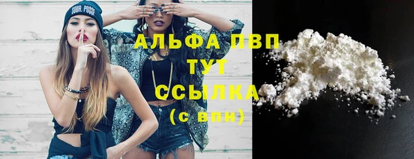 сатива Арсеньев
