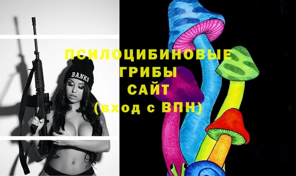 сатива Арсеньев