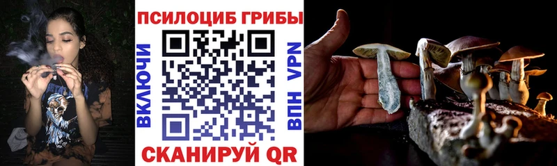Псилоцибиновые грибы MAGIC MUSHROOMS  KRAKEN рабочий сайт  Малоархангельск 